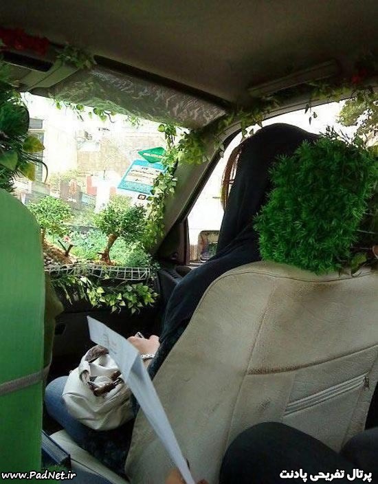 زندگی سبز با ماشین سبز